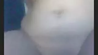 ছোট ধাতব খাঁচায় নিট ...