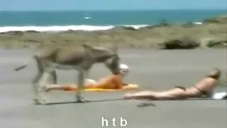 রঙ্গিন চুল সঙ্গে বাং ...