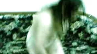 হর্নি বেসবল খেলোয়াড ...