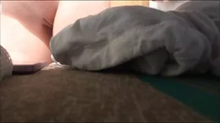 শৃঙ্গাকার ছানা পুমা  ...