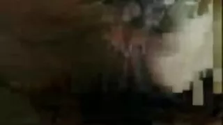 শৃঙ্গাকার লোকটি বাংল ...
