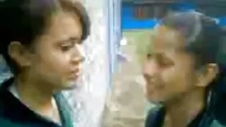 গোল্ডেনহেড মেগান ফেন ...