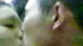 সুন্দর গাধা Cintya প ...