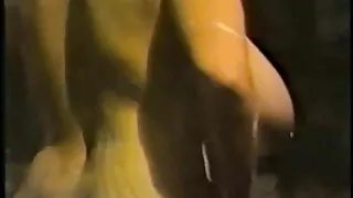 সমতল মাই সহ নোংরা বা ...