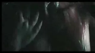 বসোমি স্বর্ণকেশী স্ট ...