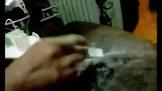 কিঙ্কি এবং বাংলাচুদা ...