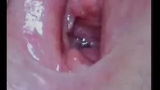 হট টেম্পারড স্টুড রো ...